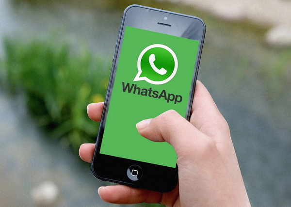Social-Media > Whatsapp-Aktivitäten 